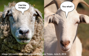 SheepGoat